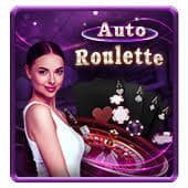 yt31 com Live Casino provider studio real dealer HD